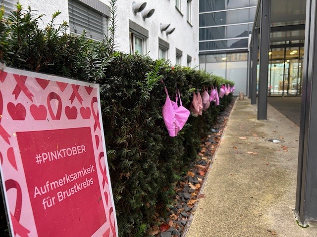 Pinkfarbene BH-Aktion macht auf Brustkrebs aufmerksam