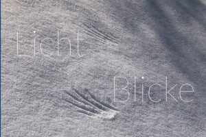 LichtBlicke Titelbild